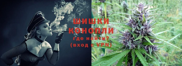 твердый Бердск