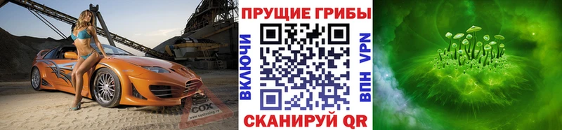 Псилоцибиновые грибы мицелий  Слюдянка 