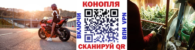 где купить наркоту  Слюдянка  Марихуана Ganja 